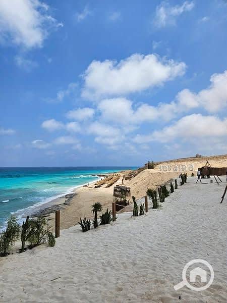 9 476167543_122181888890094333_802965106163035066_n. jpg