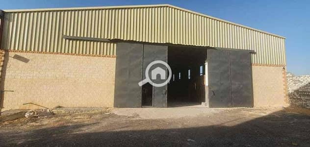 Factory for Rent in Amreya, Alexandria - IMG_0288. jpg