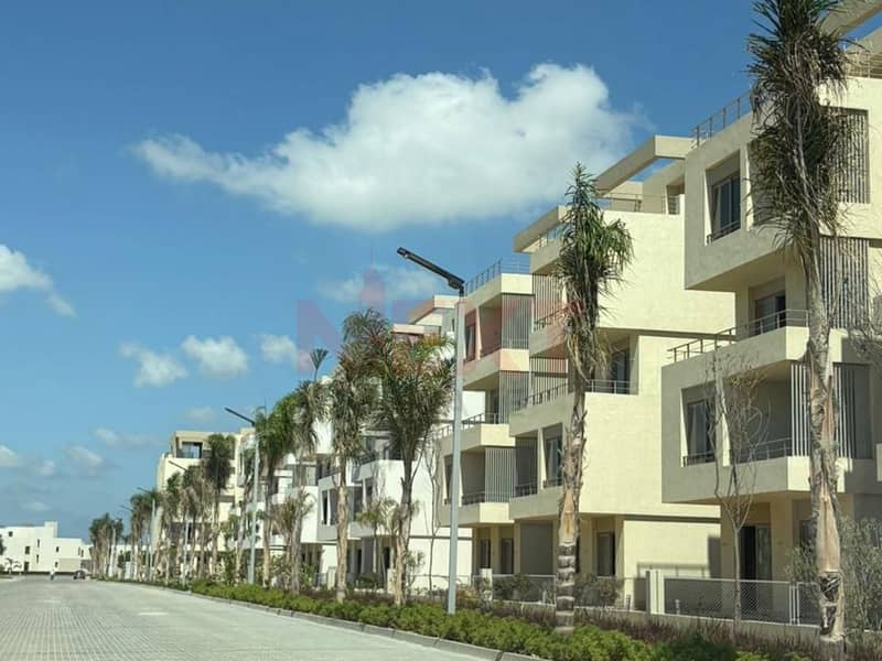 11 WhatsApp Image 2025-12-21 at 1.09. 37 PM (4). JPG