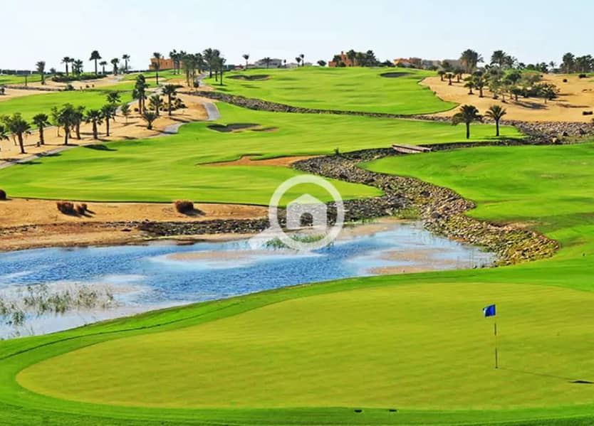 8 d8b815aa-eca9-4de6-a845-5d42530fd69c. jpg