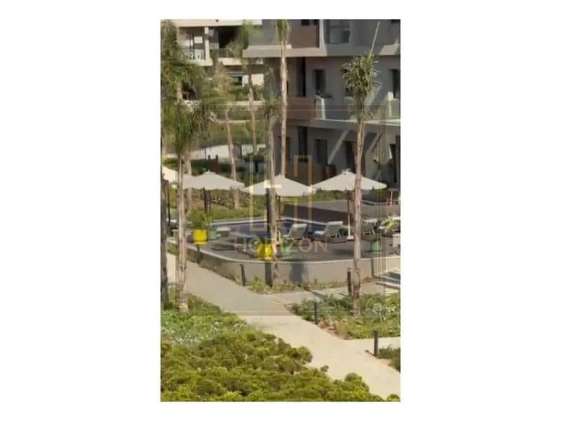 7 8366925-77dd0o. jpg