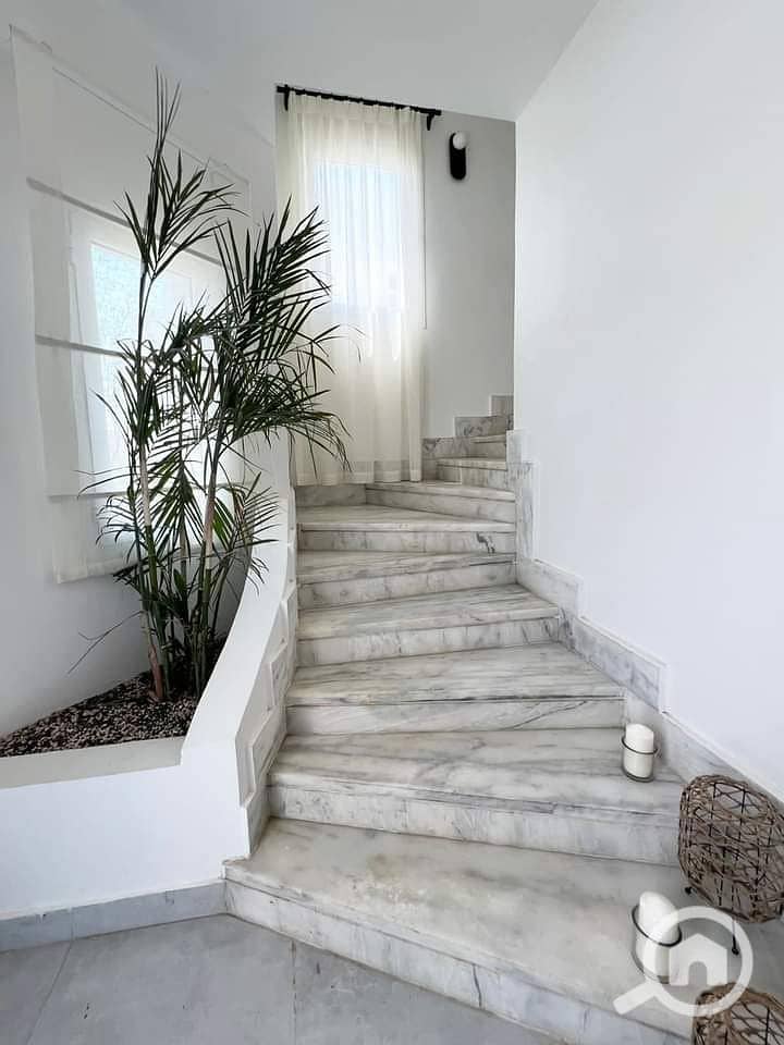 3 photo_2025-02-21_18-54-35. jpg