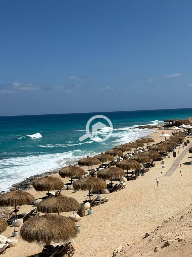 9 photo_2025-09-08_23-28-10. jpg