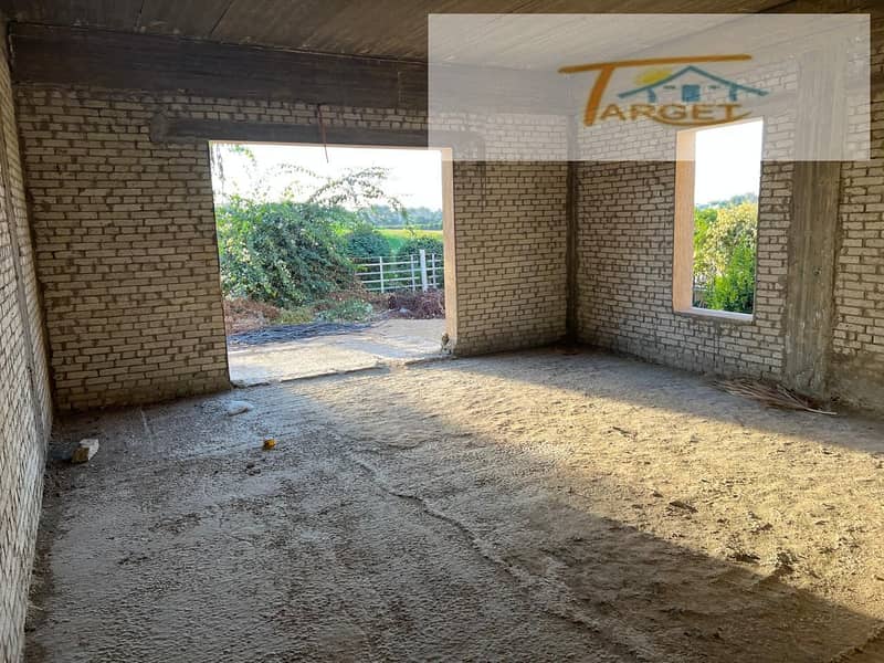 6 9d81f0fe-8be4-4f29-b43c-0bd23e55c8a3. jpg