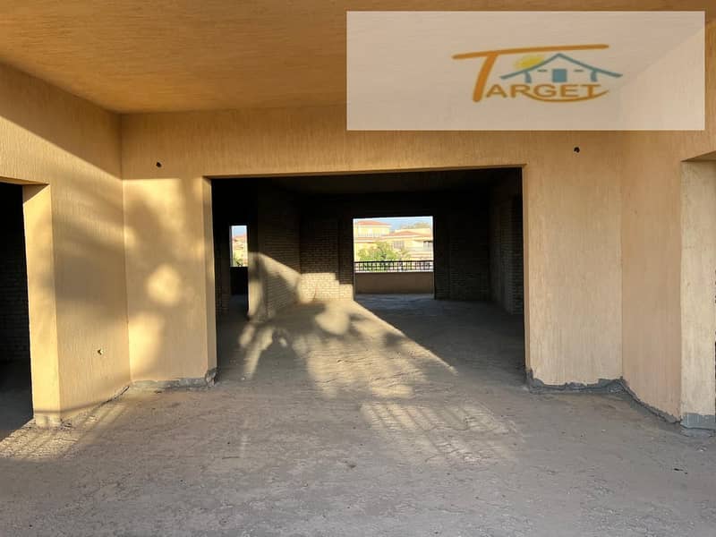 7 451d82d3-a04e-4ca3-8854-9a4d3e2b65de. jpg