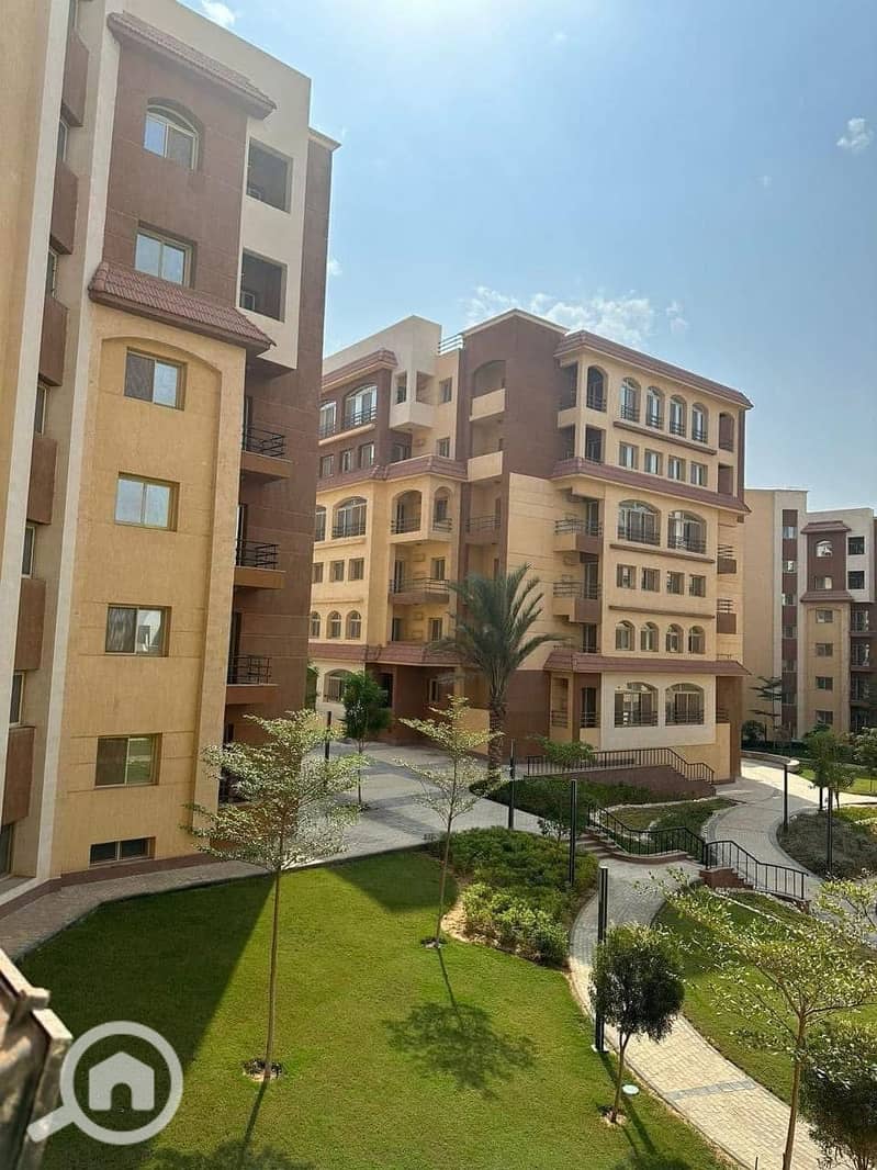 6 1743301280478. jpg