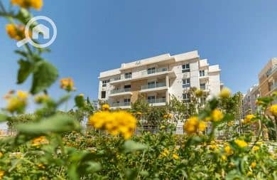 10 علاىلا. jpeg