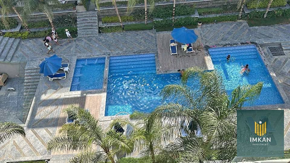 7 568268503_2206208379861125_1320864479600949469_n. jpg