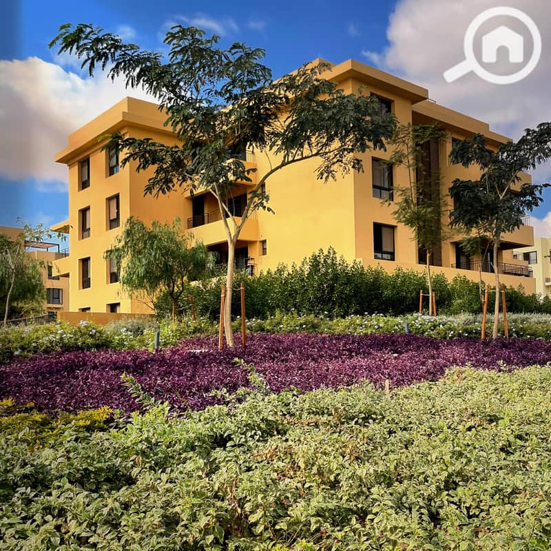 7 IMG-20241211-WA0008. jpg