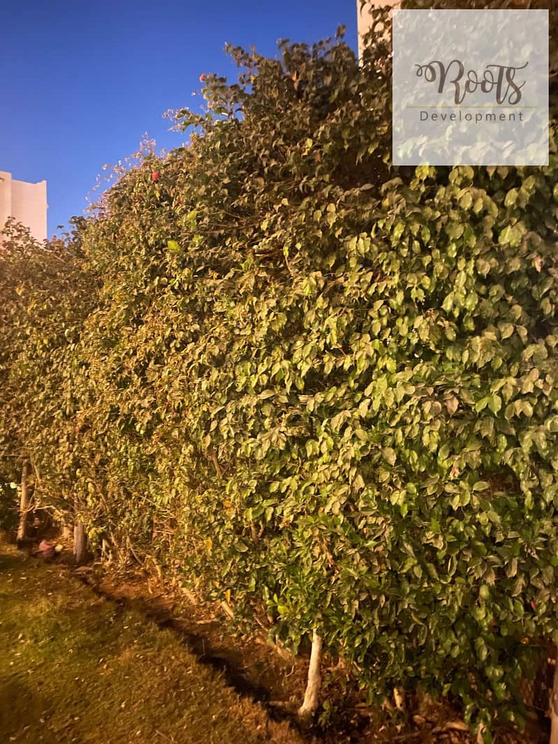 14 WhatsApp Image 2025-12-14 at 11.30. 21 (6). jpeg