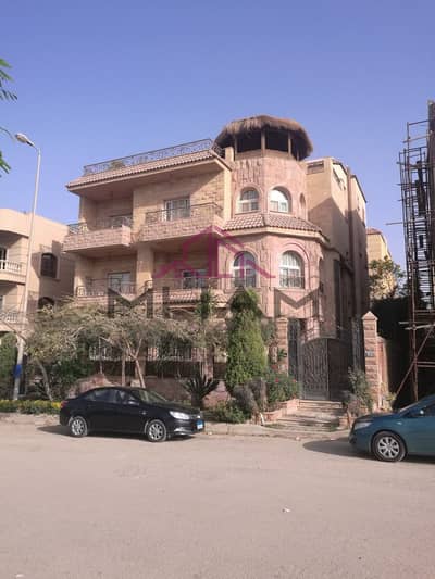 استوديو  للايجار في القاهرة الجديدة، القاهرة - 5929062998079114300. jpg