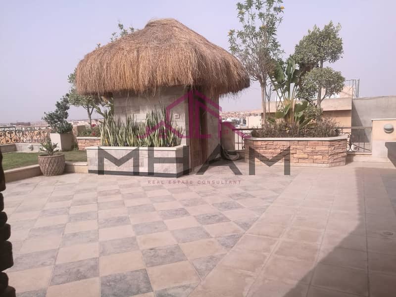 4 5929062998079114299. jpg