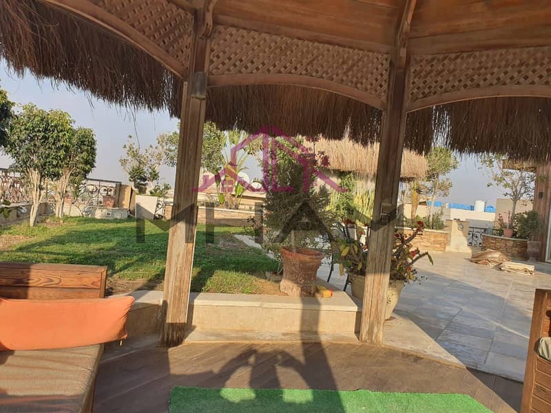 6 5929062998079114298. jpg