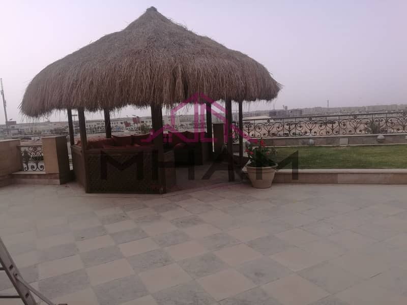 21 5929062998079114317. jpg