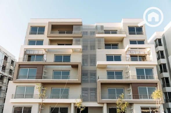 5 584542136_10230918382449125_1563522465435430364_n. jpg