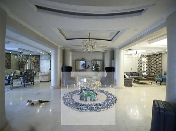 2 6734fc59-98f7-4367-b7c6-a4379676f636. jpg