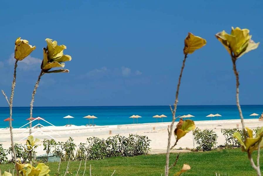 9 WhatsApp Image 2024-10-12 at 1.49. 23 PM. jpeg