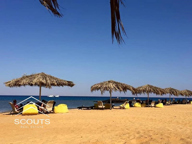 14 WhatsApp Image 2024-10-12 at 1.49. 22 PM. jpeg