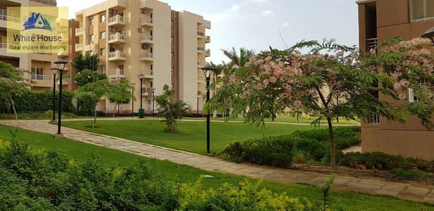 2 Bedroom Flat for Rent in Madinaty, Cairo - WhatsApp Image 2025-12-17 at 9.12. 52 AM (1). jpeg