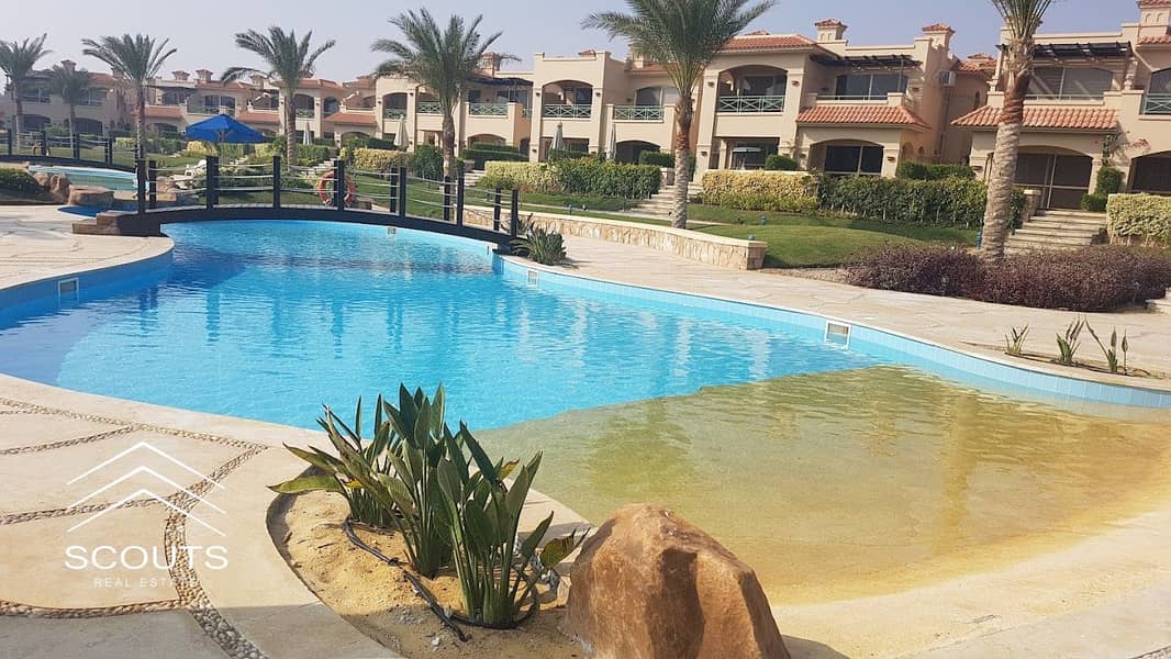 13 2022-01-08 (1). jpg