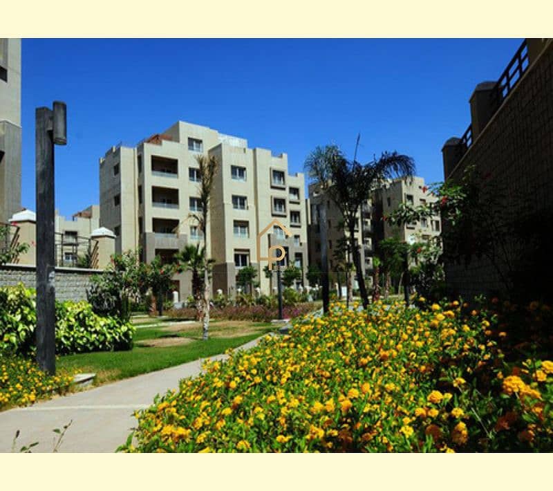 10 medium_YveHqXDpYQA85eyCy0IfTZwqLfEExn. jpg