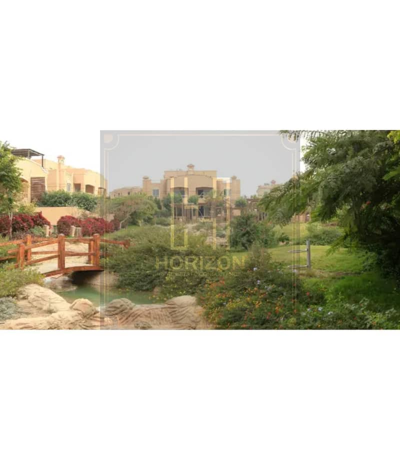 4 17429939118560. jpg