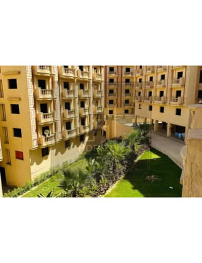 شقة 2 غرفة نوم للبيع في القاهرة الجديدة، القاهرة - 8165037-36febo. jpg