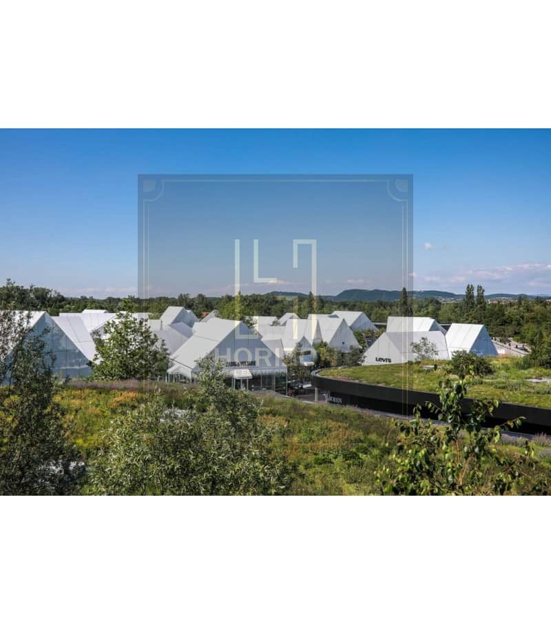 3 10738791-834828345. jpg