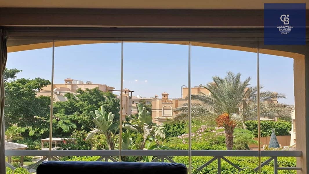 4 74220712_2519866454912571_3550857056552484864_n. jpg