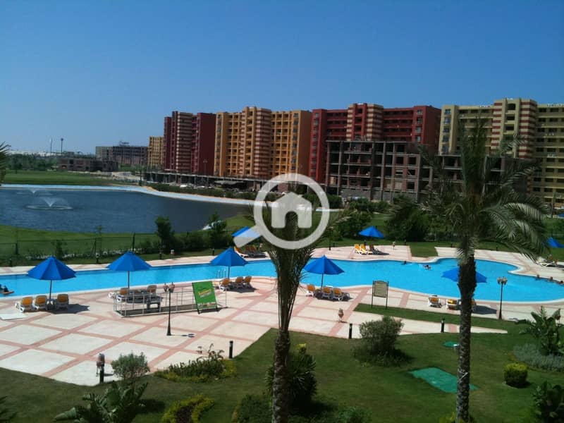 5 2647c72a-202b-4cb9-a720-10ab2e1aa918. jpeg