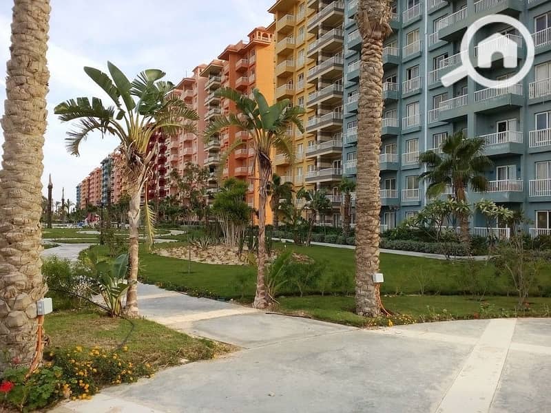 6 0ed1ea6e-f9f9-4f82-9bc8-fff36693701a. jpeg