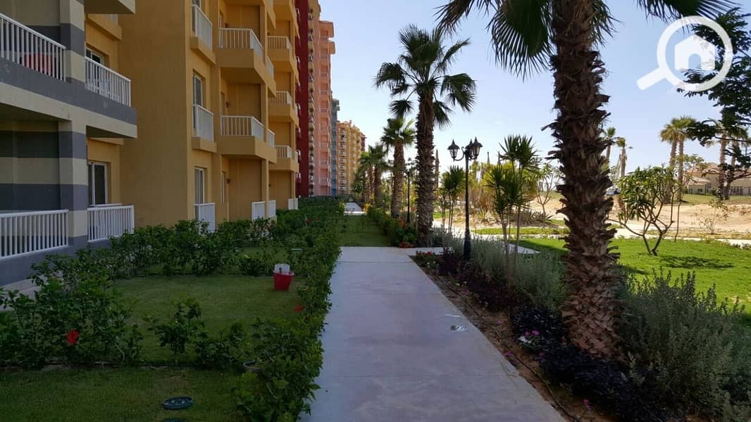 11 27eb62c7-281f-4d4f-b613-a7e4660cd90c. jpeg