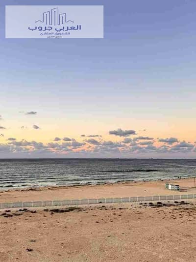 شقة 2 غرفة نوم للبيع في النخيل، الإسكندرية - 1000343808. jpg