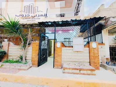 شقة 3 غرف نوم للبيع في النخيل، الإسكندرية - 1000343818. jpg