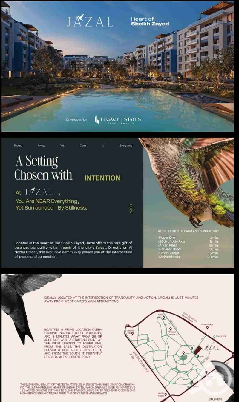 2 IMG_٢٠٢٥١٢٢٢_١٩٥٤٤٢. jpg