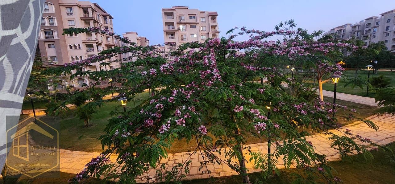 5 WhatsApp Image 2025-12-22 at 16.58. 12 (1). jpeg