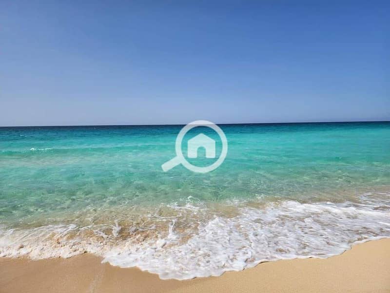 7 485151547_1807438240180955_20587365961086868_n. jpg