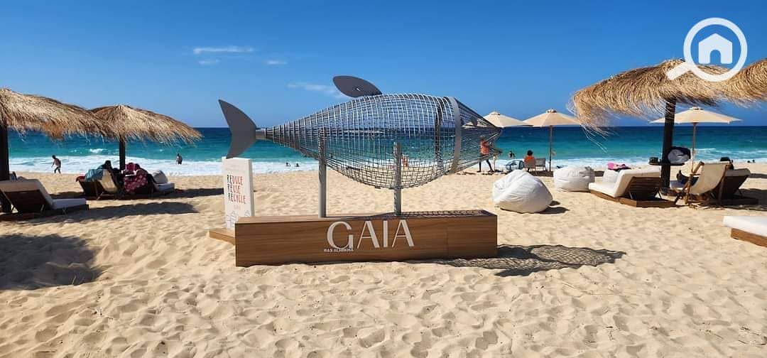 9 476438202_3913113832296404_2440583860831969953_n. jpg