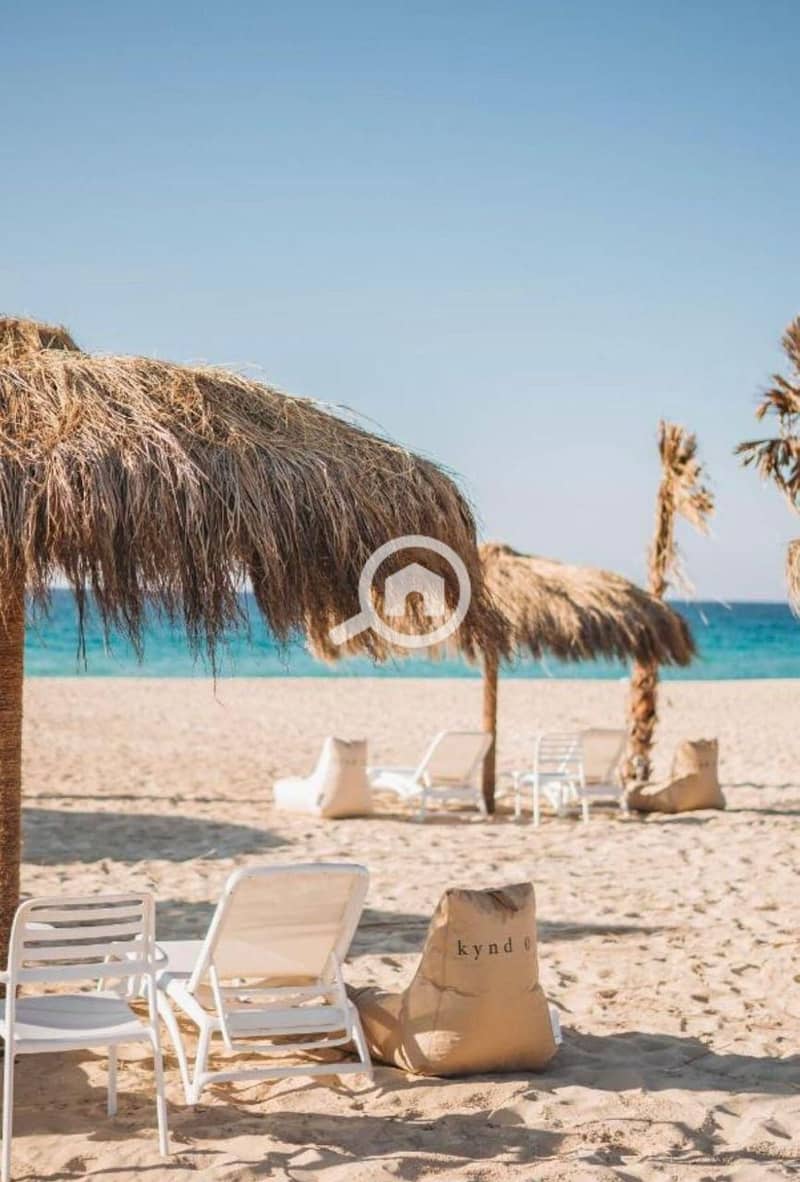 5 photo_2025-07-19_01-03-31. jpg