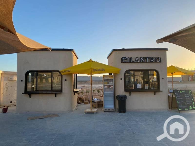 10 484765917_3796717710545765_979357439796896562_n. jpg