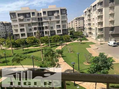 3 Bedroom Flat for Rent in Madinaty, Cairo - 1000436546. jpg