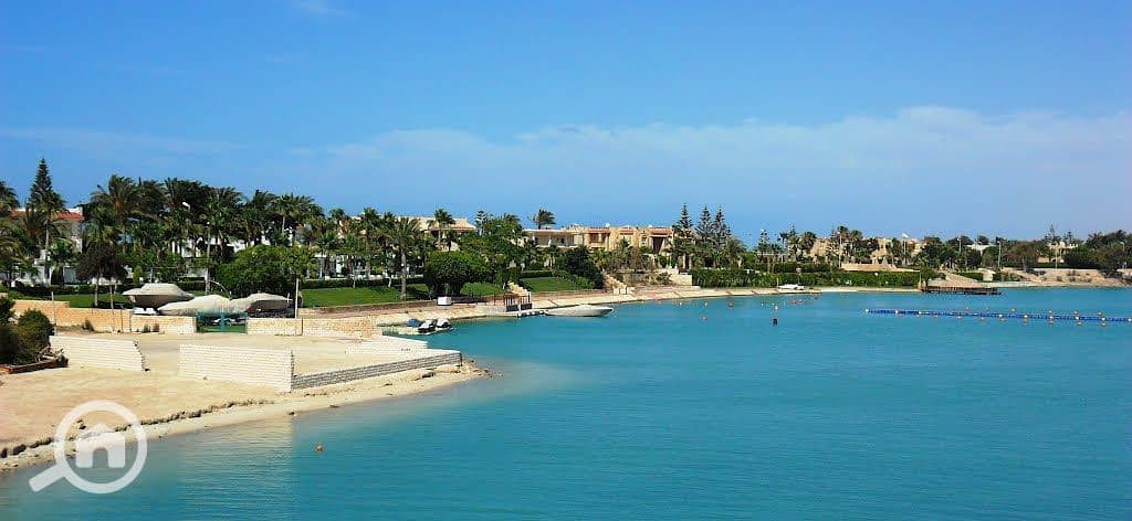 6 xzjcTMHTHq5h5y6HpPOkS0mboZkWJB. jpg