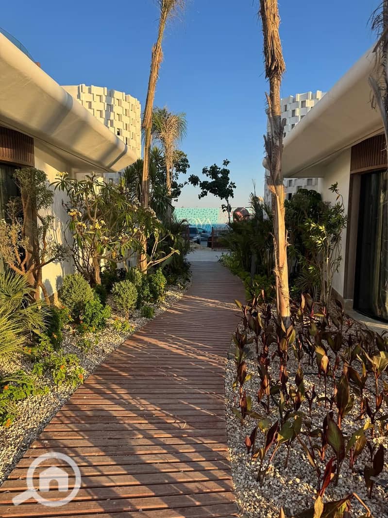 3 photo_2025-07-26_02-38-42 (2). jpg