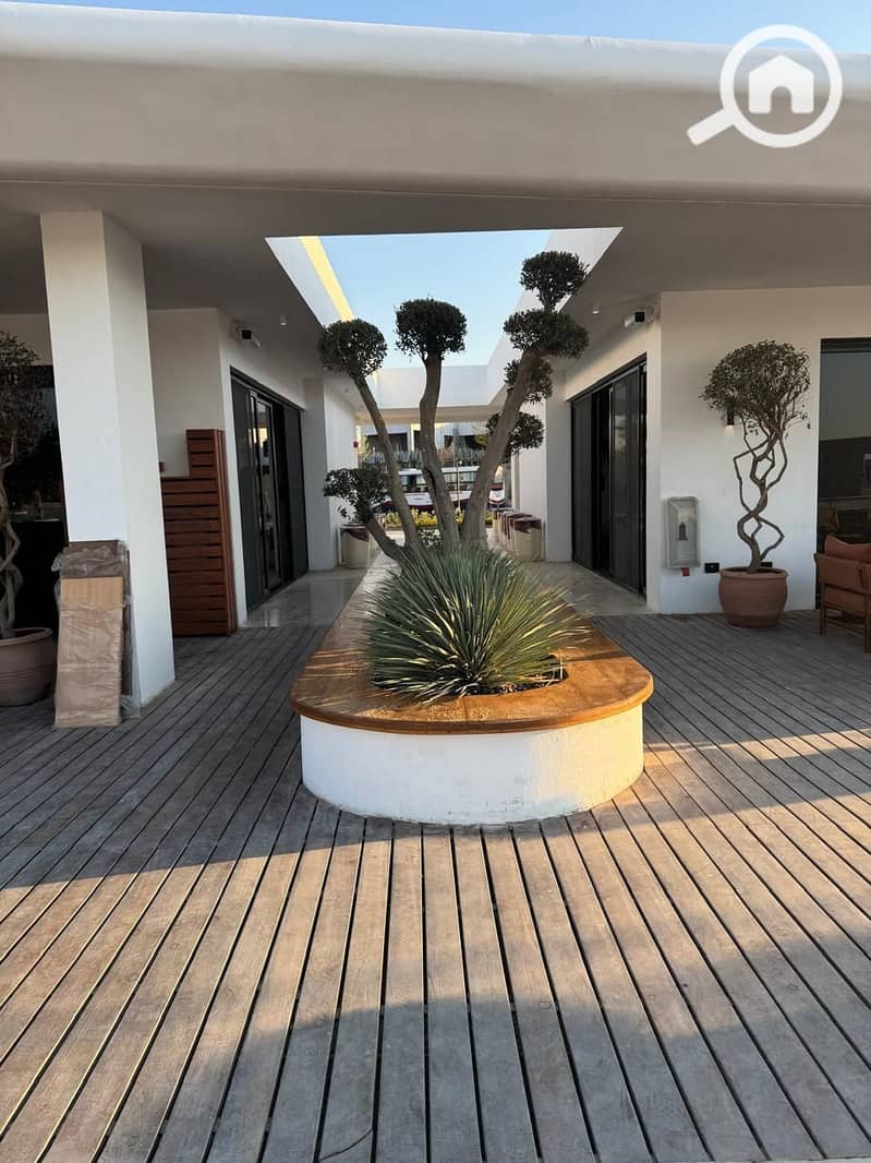 6 photo_2025-07-26_02-38-45 (2). jpg