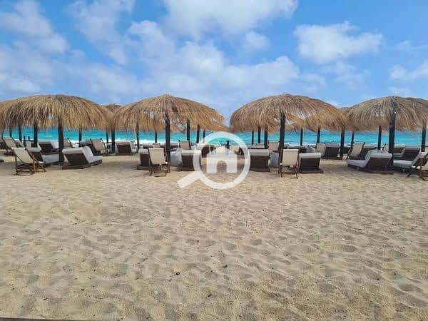 6 476561024_3913113958963058_2115942191676042393_n. jpg