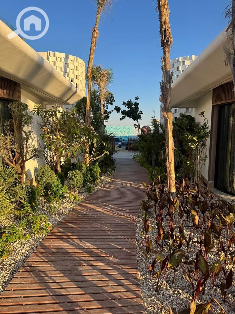 9 photo_2025-07-26_02-38-42 (2). jpg