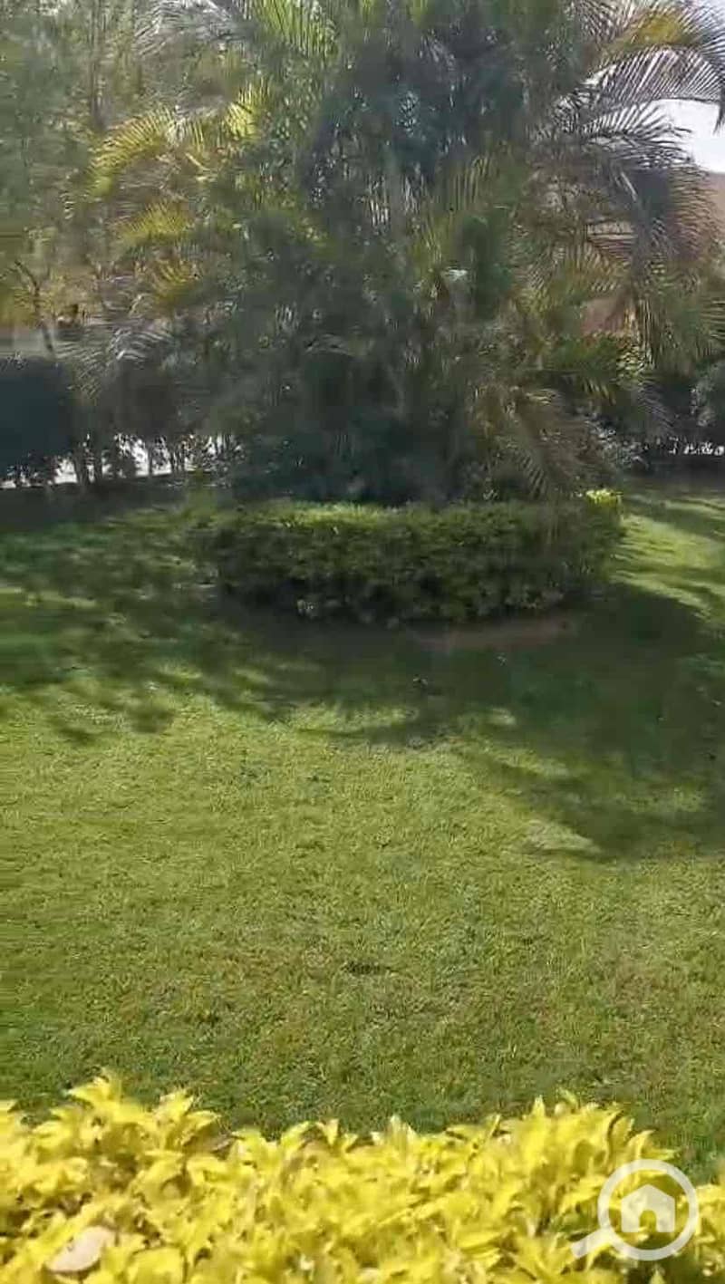 6 03eb41b6-2678-4a94-8414-31203973bd48. jpg