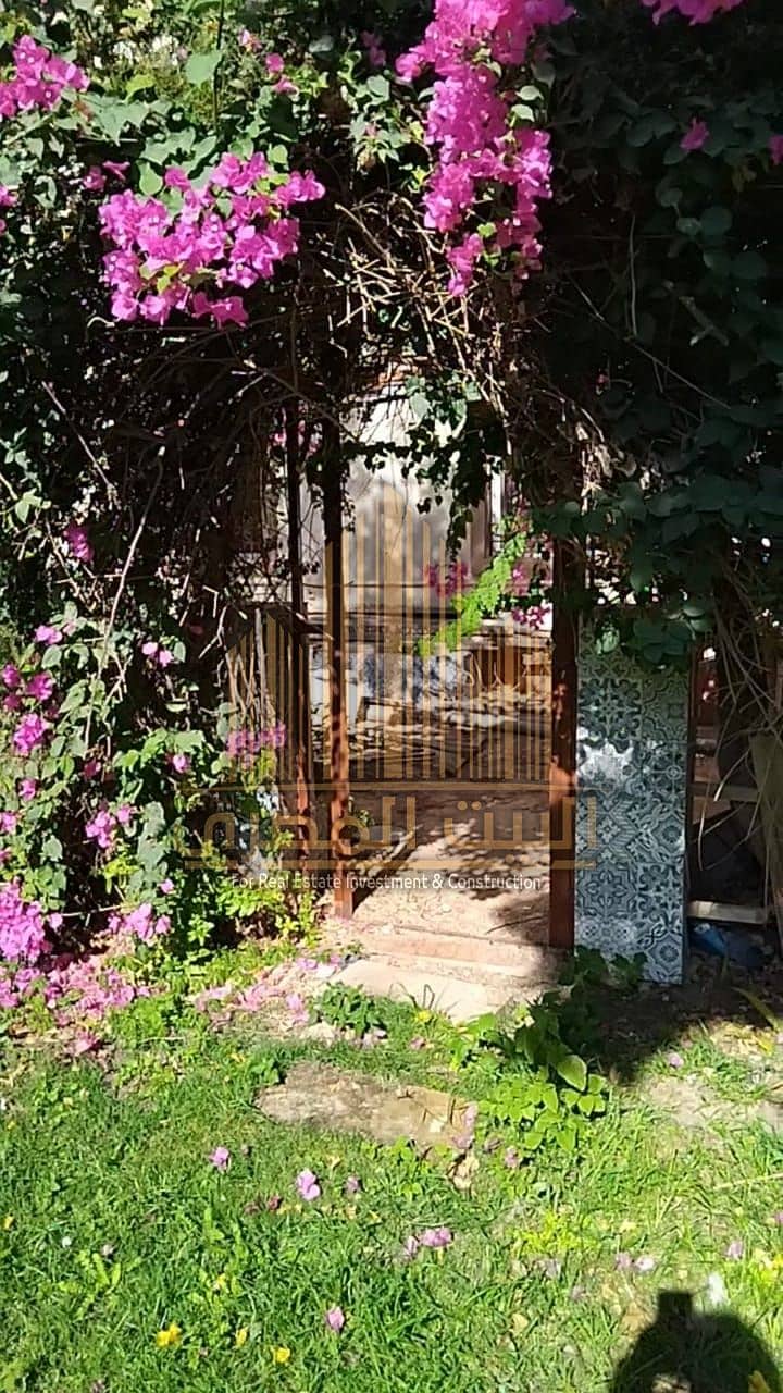 10 WhatsApp Image 2025-12-22 at 11.01. 39 PM (2). jpeg