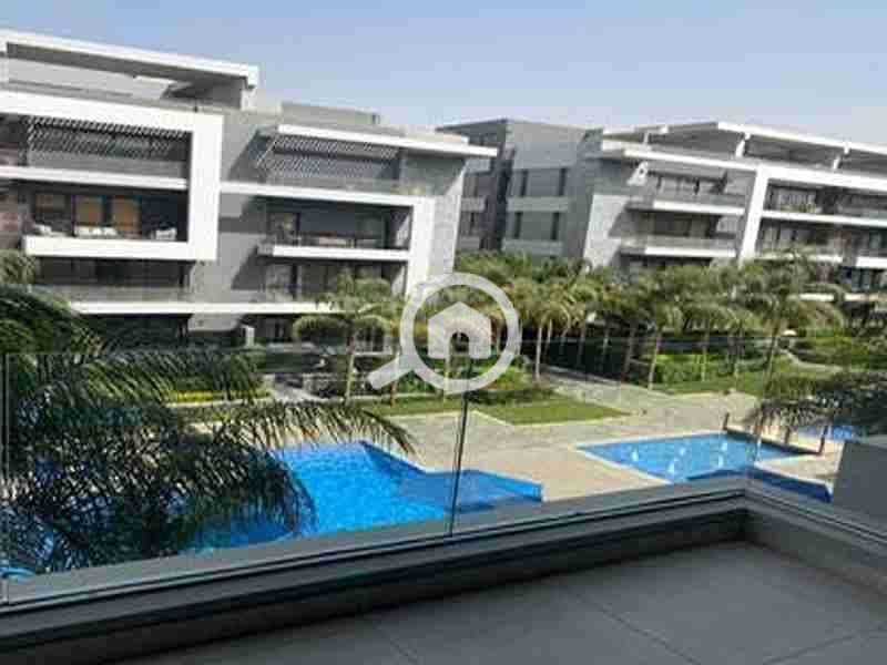 10 3897613-efae8o. jpg