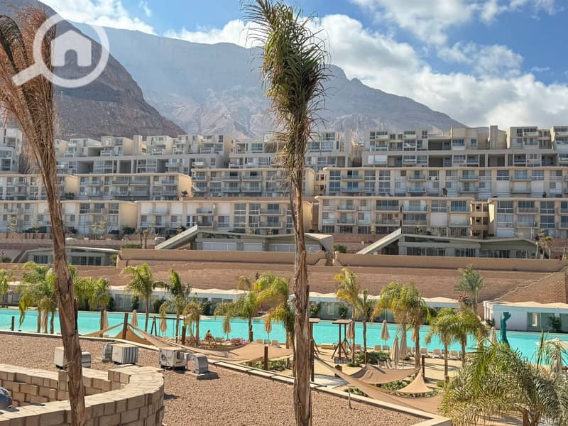 5 500014077_3604094623217916_7822370399929164494_n. jpg